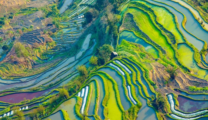 宝妈必备神器：南丹县产品视频拍摄轻松育儿好帮手